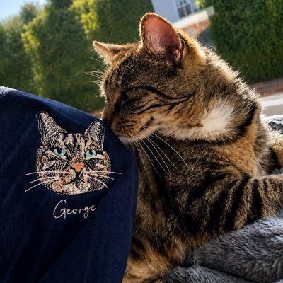 Cat snuggling with a navy blue jacket featuring an embroidered cat design.